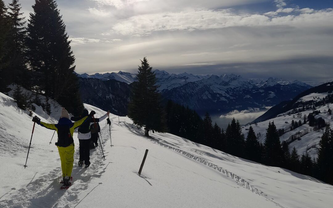 Balade découverte de la raquette à neige dans l’Oberland bernois