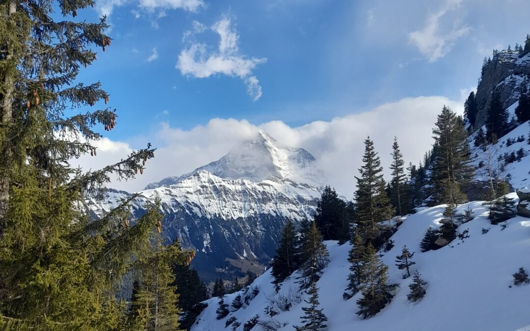 Premières traces du printemps