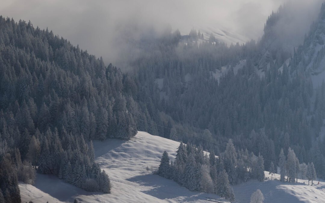 Nuances d’eau et de glace
